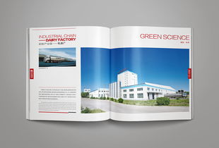 凝練品牌精髓，彰顯卓越風(fēng)范——洛娃集團(tuán)畫冊(cè)整合設(shè)計(jì)與企業(yè)形象策劃