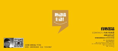 梨妃設計 鄭州品牌設計領域的創意先鋒與解決方案專家