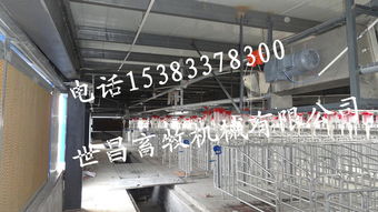 豬場自動化料線系統(tǒng) 現(xiàn)代養(yǎng)豬設備的核心設計與實踐